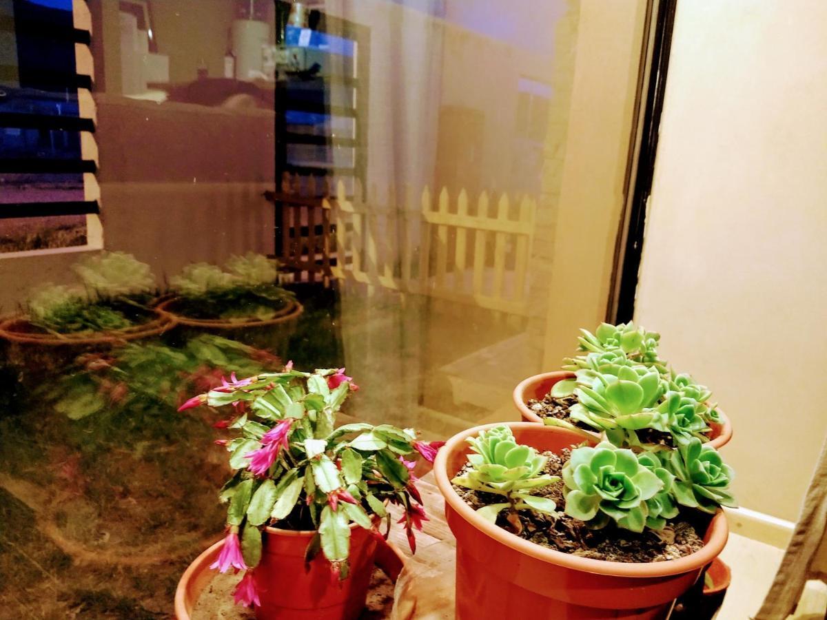 Casa En Gregores Gobernador Gregores Екстериор снимка